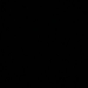 Meet your Posher, Devin